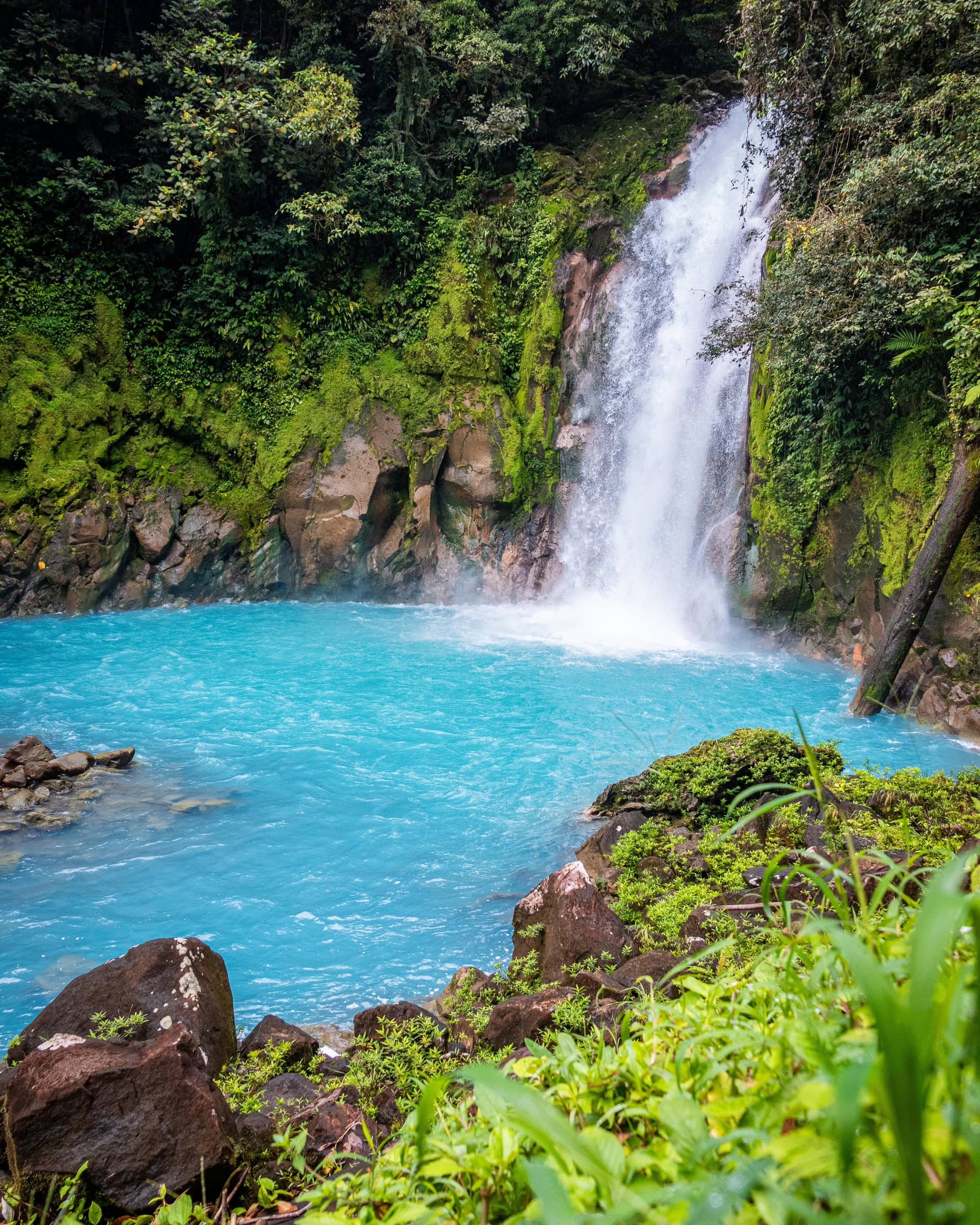 Río Celeste Ecotubing