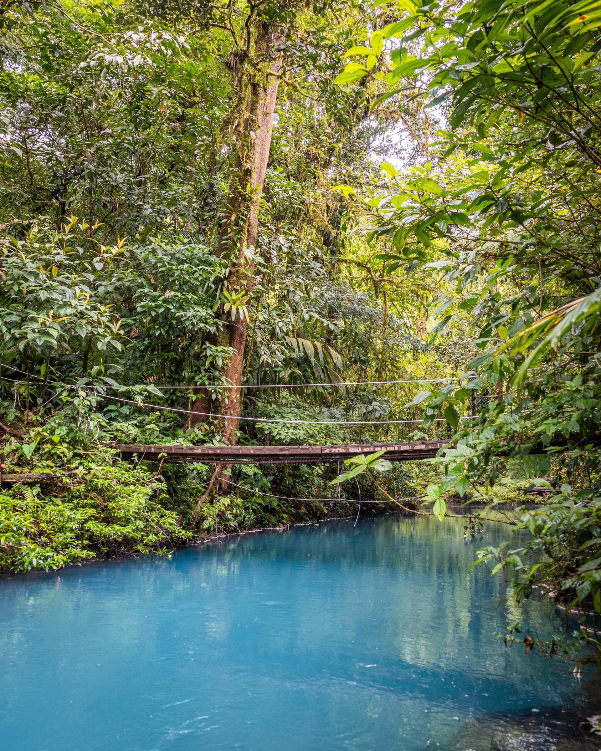 Río Celeste Ecotubing