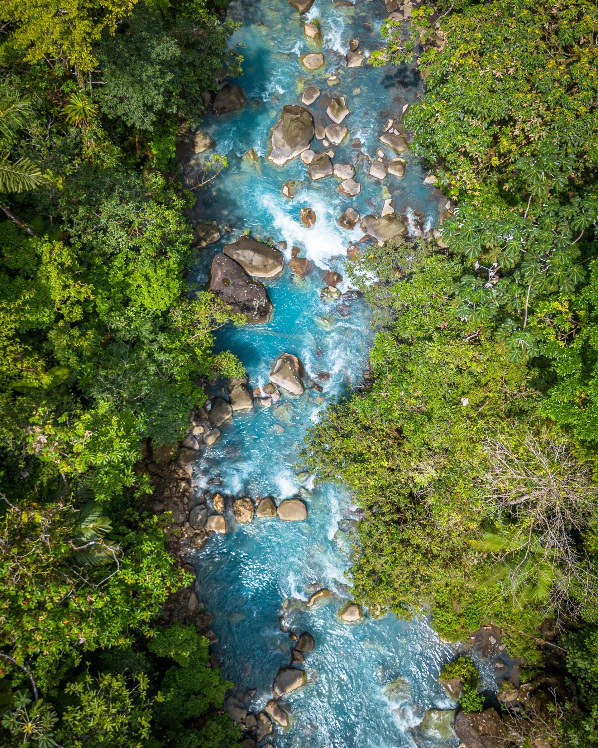 Green Lagoon